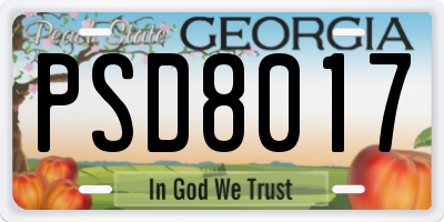 GA license plate PSD8017