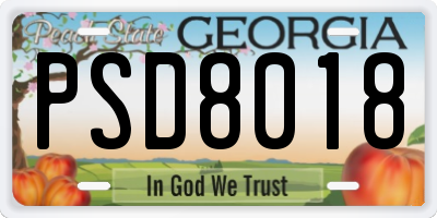 GA license plate PSD8018