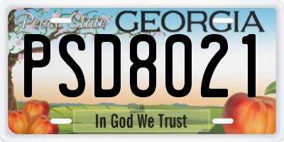 GA license plate PSD8021