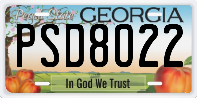 GA license plate PSD8022