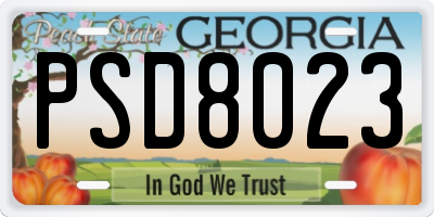 GA license plate PSD8023