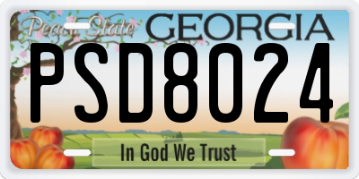GA license plate PSD8024