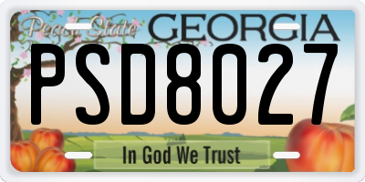 GA license plate PSD8027