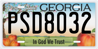 GA license plate PSD8032