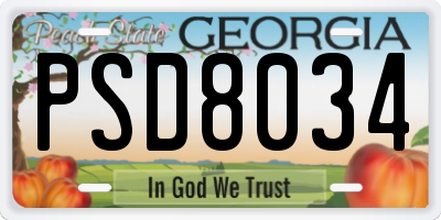GA license plate PSD8034