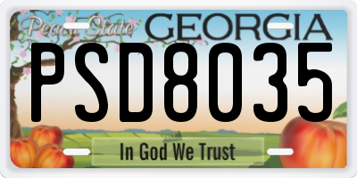 GA license plate PSD8035