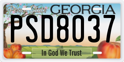 GA license plate PSD8037