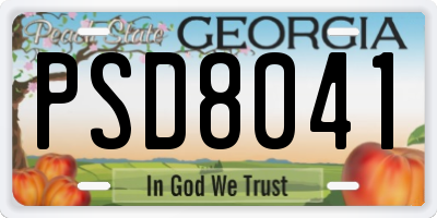 GA license plate PSD8041