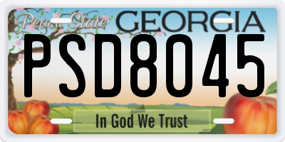 GA license plate PSD8045