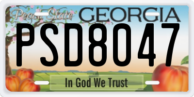 GA license plate PSD8047
