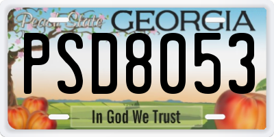 GA license plate PSD8053