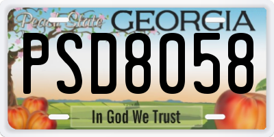 GA license plate PSD8058