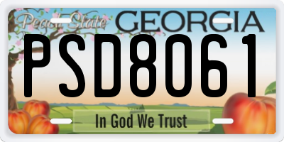 GA license plate PSD8061