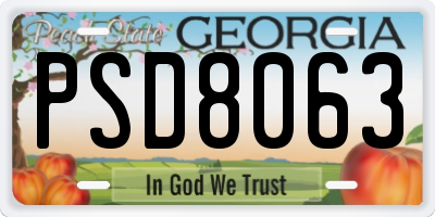 GA license plate PSD8063
