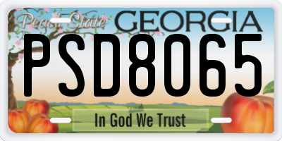 GA license plate PSD8065
