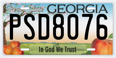 GA license plate PSD8076