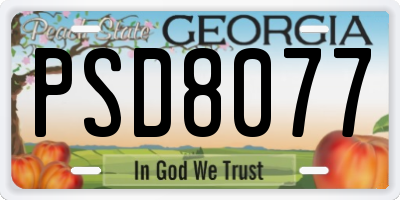 GA license plate PSD8077