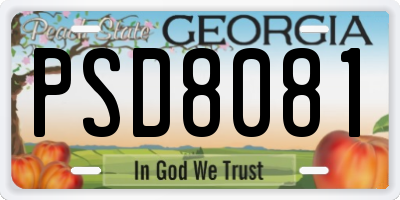 GA license plate PSD8081