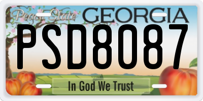 GA license plate PSD8087