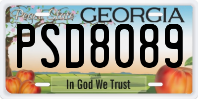 GA license plate PSD8089