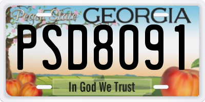 GA license plate PSD8091