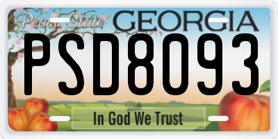 GA license plate PSD8093
