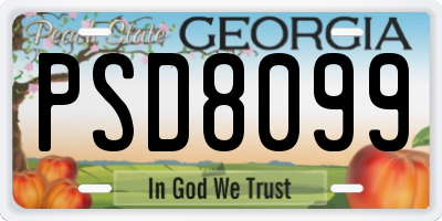 GA license plate PSD8099