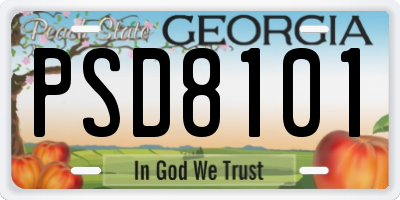 GA license plate PSD8101