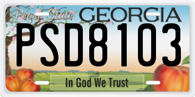 GA license plate PSD8103