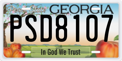 GA license plate PSD8107