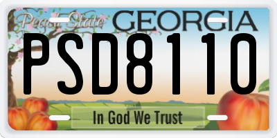 GA license plate PSD8110