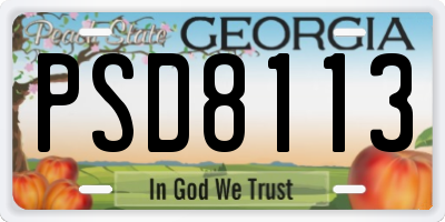 GA license plate PSD8113