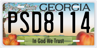GA license plate PSD8114