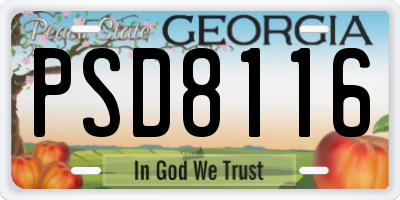 GA license plate PSD8116