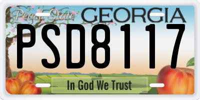 GA license plate PSD8117