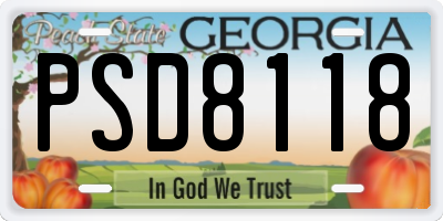 GA license plate PSD8118