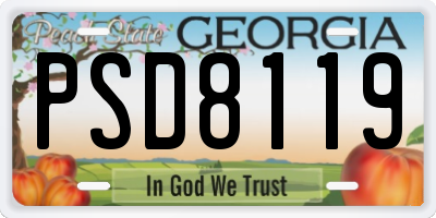 GA license plate PSD8119