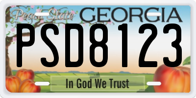 GA license plate PSD8123