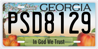 GA license plate PSD8129