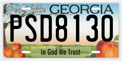 GA license plate PSD8130