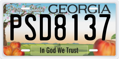 GA license plate PSD8137