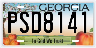 GA license plate PSD8141