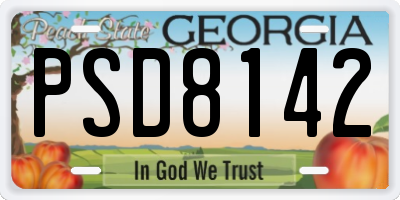 GA license plate PSD8142