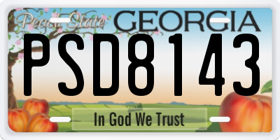 GA license plate PSD8143