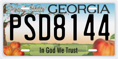 GA license plate PSD8144