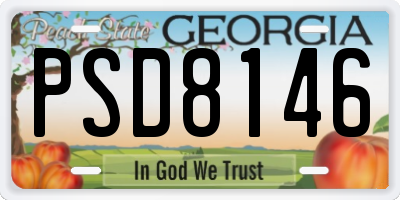 GA license plate PSD8146
