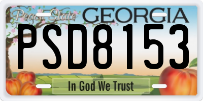 GA license plate PSD8153