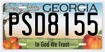 GA license plate PSD8155