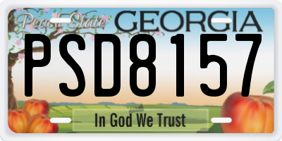 GA license plate PSD8157