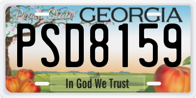 GA license plate PSD8159